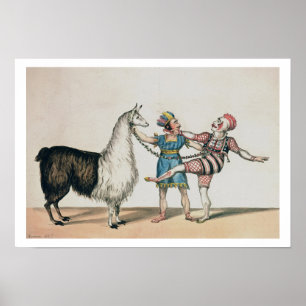 Grimaldi und das Alpaka, in der populären Poster