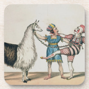 Grimaldi und das Alpaka, in der populären Untersetzer