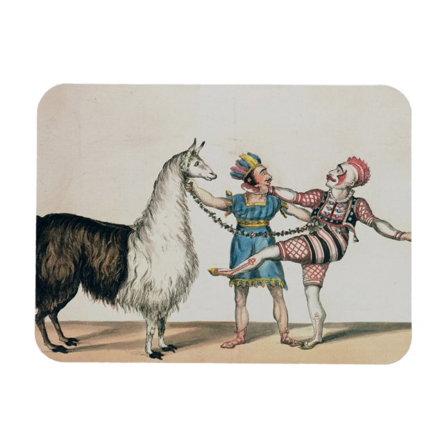 Grimaldi und die Alpaca im Pantomime Magnet (Horizontal)