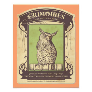 Grimoires Eulen-Foto-Druck Fotodruck