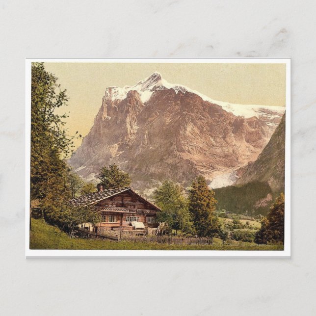 Grindelwald, Chalet und Monte Wetterhorn, Bernese Postkarte (Vorderseite)