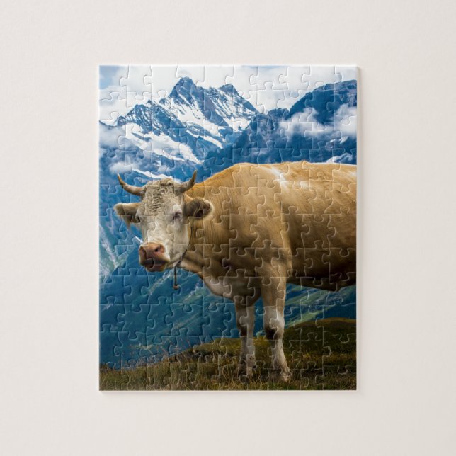 Grindelwald Kuh - Bernese Alpen - die Schweiz (Vertikal)
