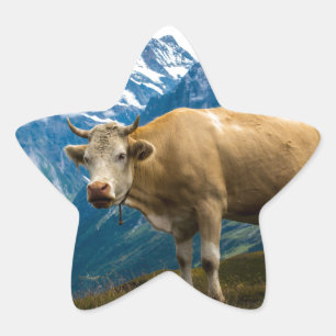 Grindelwald Kuh - Bernese Alpen - die Schweiz Stern-Aufkleber