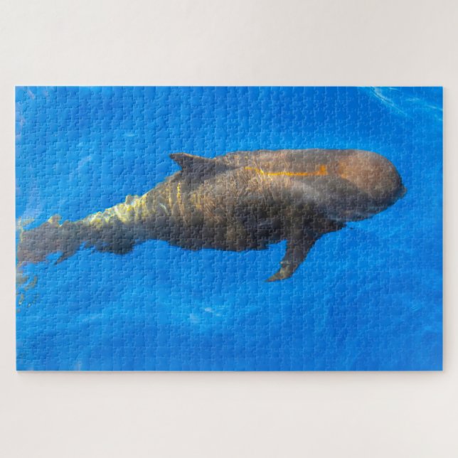 Grindwale (Horizontal)