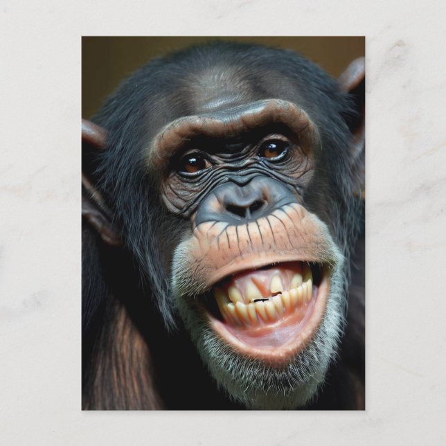 Grinning Chimpanze Postkarte (Vorderseite)