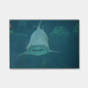 Grinsender Haifisch Post-it Klebezettel