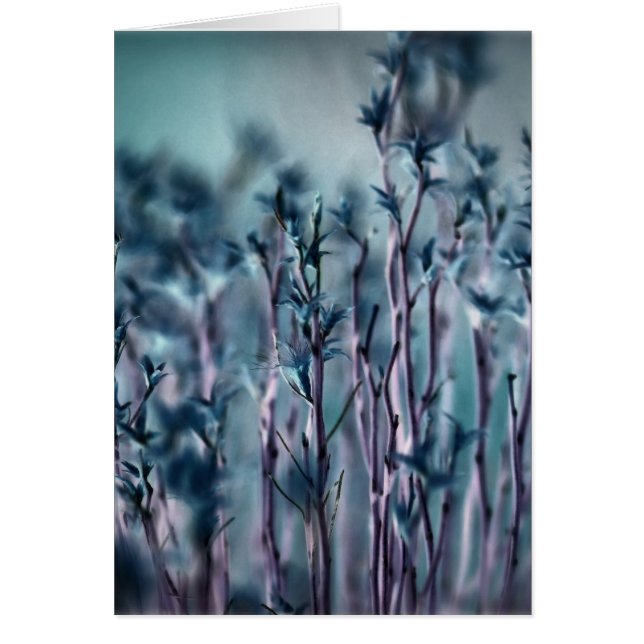 Gris bleu (Devant)