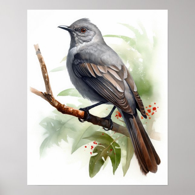 Gris Catbird Oiseau Art Imprimer Poster (Devant)