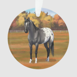 Gris Grulla Appaloosa Quartier Horse Stallion