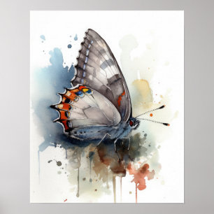Gris Hairstreak Papillon Art Imprimer Poster