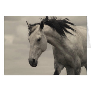Gris Mare