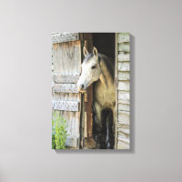 Gris Mare Horse & Grange toile rustique Imprimer