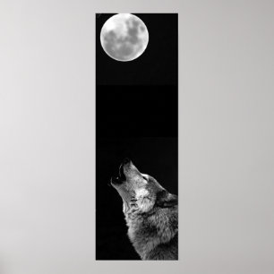 Gris Wolf & Lune Panoramique Poster Imprimer