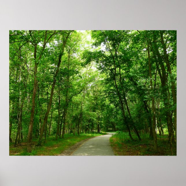 Grist Mill Trail II Poster (Vorne)