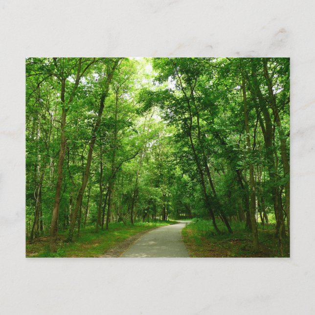 Grist Mill Trail II Postkarte (Vorderseite)