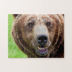 Grizzle Bär Portrait, Jigsaw Puzzle