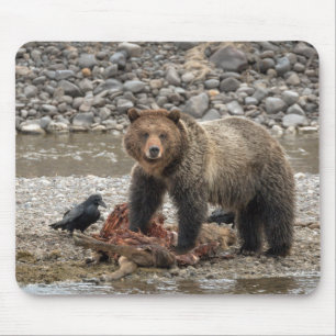 Grizzle Bär und Raven Mouse Pad Mousepad