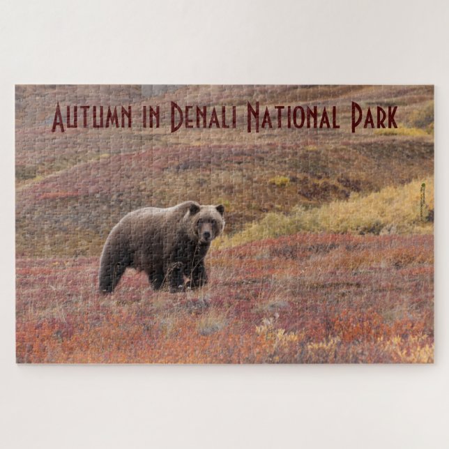Grizzle Bären Autumn Colors Denali Alaska (Horizontal)