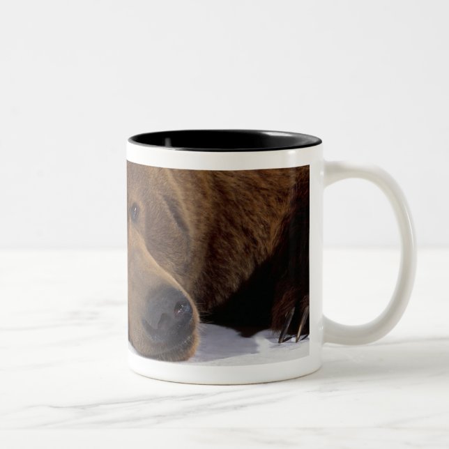 Grizzle Bärn-Tasse Zweifarbige Tasse (Rechts)