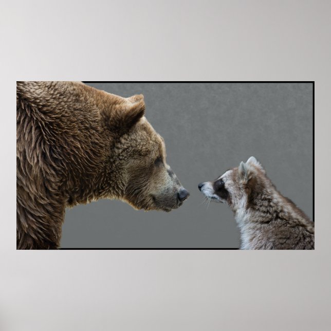 Grizzle trifft Raccoon Poster (Vorne)