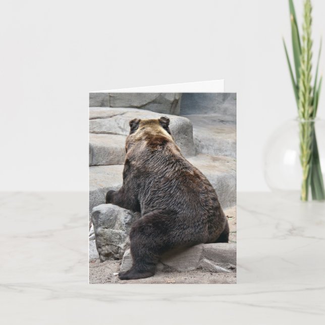 Grizzles Bären auf einem Felsen Karte (Vorderseite)