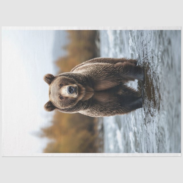 Grizzles Bären überqueren einen Fluss Decoupage Seidenpapier (Vorderseite)