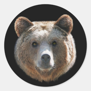 Grizzles Bärenfeld Runder Aufkleber