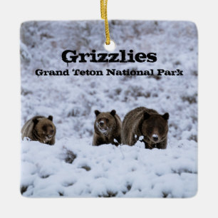 Grizzles Bars im Snow Grand Teton Nationalpark Keramikornament