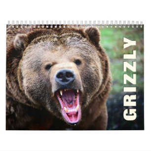 Grizzles Bears Wall Calendar Kalender