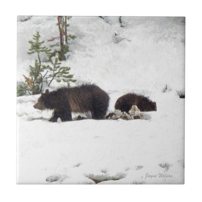 Grizzles im Schnee Fliese (Vorderseite)