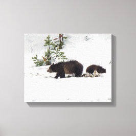 Grizzles in der schneegeätzten Leinwand