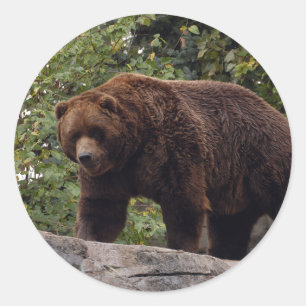 Grizzly-Bär-004 Runder Aufkleber