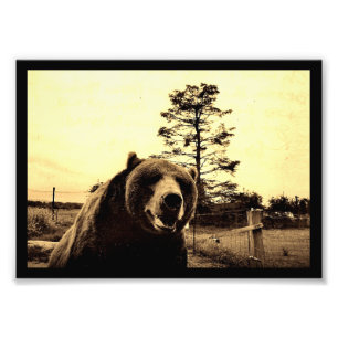 Grizzly Bar Greetings Fotodruck