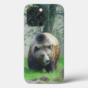 Grizzly Bear #1 iPhone 13 Pro Coque
