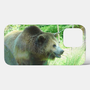 Grizzly Bear #3 iPhone 13 Pro Coque