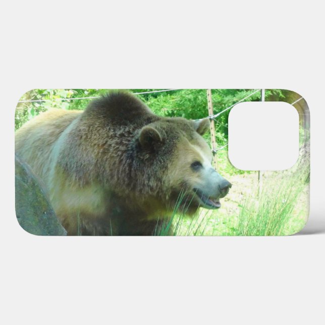 Grizzly Bear #3 iPhone 13 Pro Fall Case-Mate iPhone Hülle (Rückseite (Horizontal))