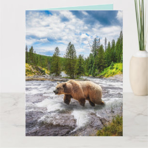 GRIZZLY BEAR ALASKA BIRTHDAY GREETING CARDS KARTE