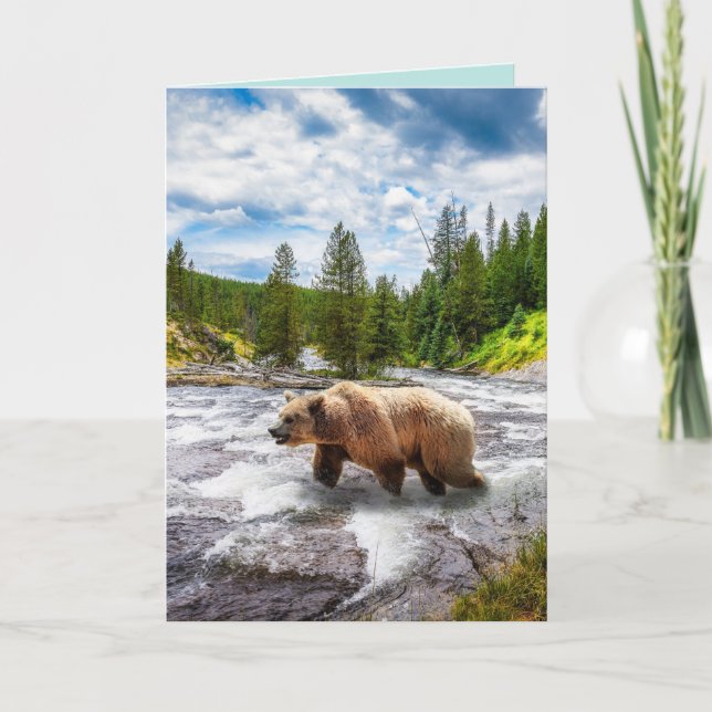 GRIZZLY BEAR ALASKA BIRTHDAY GREETING CARDS KARTE (Vorderseite)