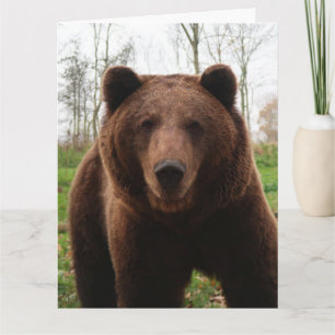 GRIZZLY BEAR BIRTHDAY GREETING CARD KARTE