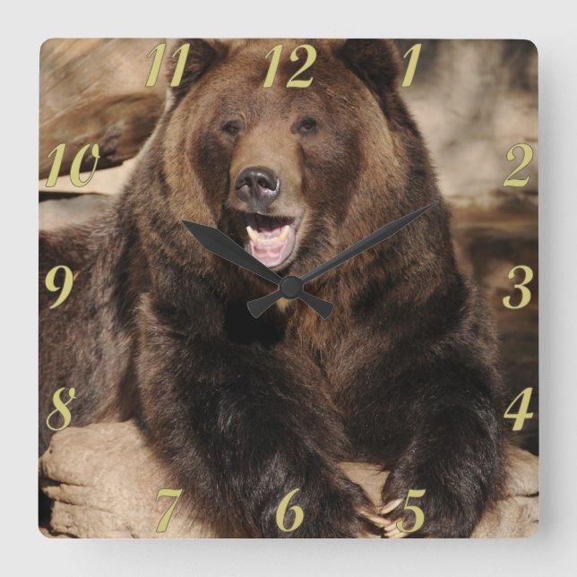 Grizzly Bear Boar Quadratische Wanduhr (Vorderseite)