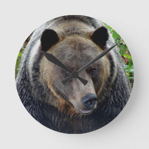 Grizzly Bear Close-up Runde Wanduhr