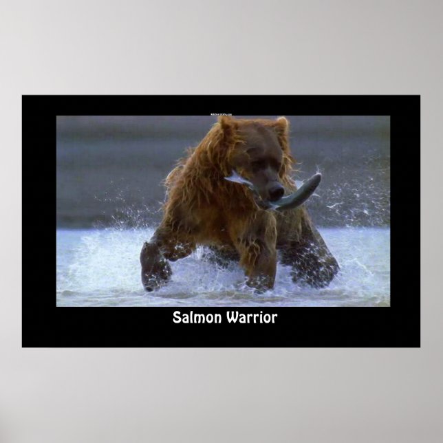 GRIZZLY BEAR Fishing for Saumon Poster (Devant)