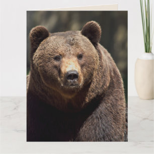 GRIZZLY BEAR FOTOGRAFIE BIRTHDAY CARD KARTE