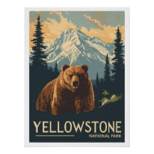 Grizzly Bear in Yellowstone National Park
