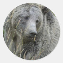 Grizzly_Bear_Lovers Runder Aufkleber