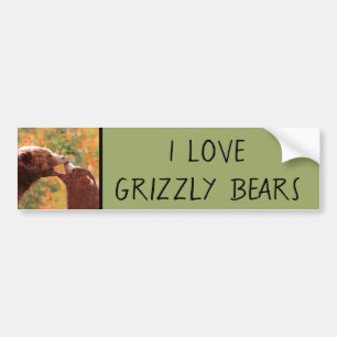 Grizzly Bear Mama and Cub Painting - Wildlife Art Autoaufkleber