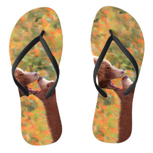 Grizzly Bear Mama and Cub Painting - Wildlife Art Flip Flops