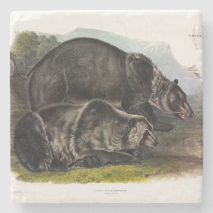 Grizzly Bear (Nordamerikanischer Braunbär) - Audub Steinuntersetzer