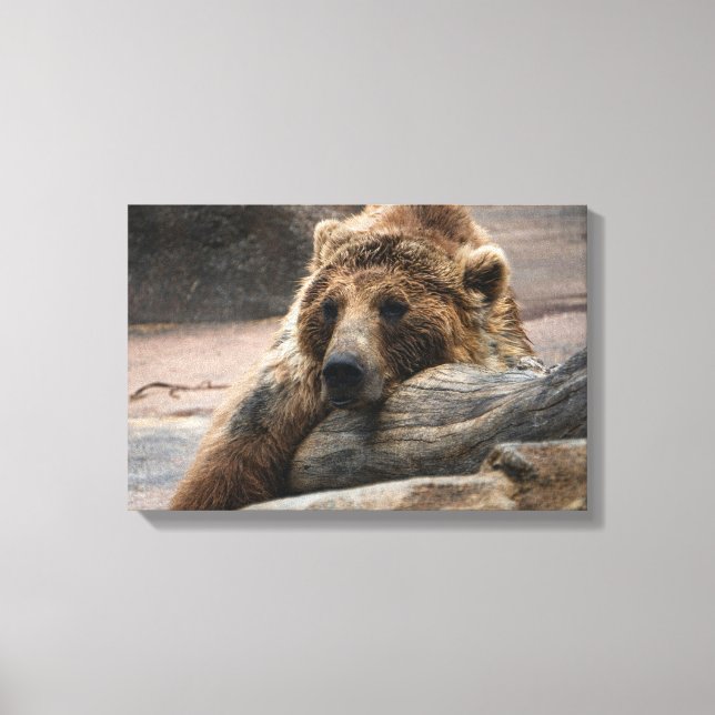 Grizzly Bear somnifère Papier en toile (Recto)