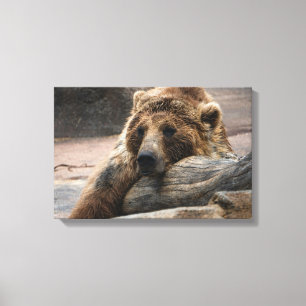 Grizzly Bear somnifère Papier en toile